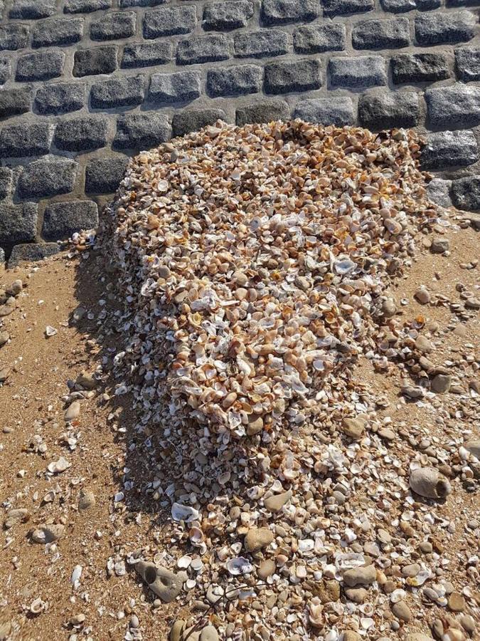 Appartement Re 2 Personnes Châtelaillon-Plage Zewnętrze zdjęcie